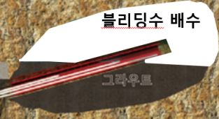 현장 조사